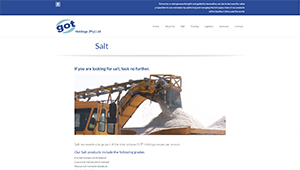 GOT_Holdings_(Pty)_Ltd_website_portfolio